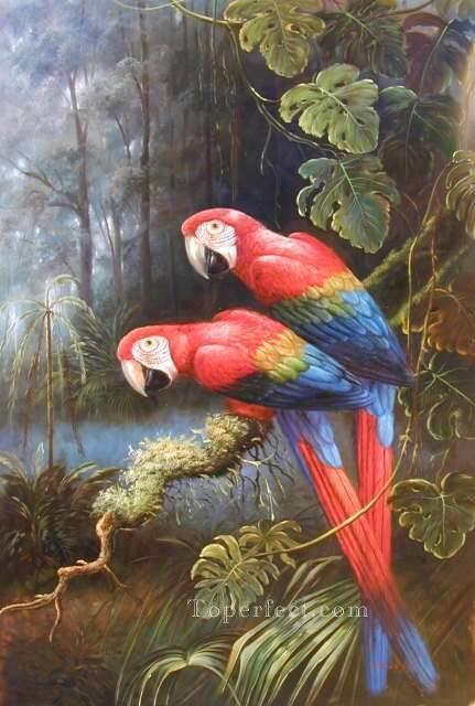 dw085bD animal bird Oil Paintings